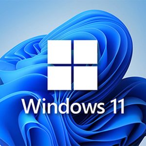 Windows 11 Pro Retail Lisans Key