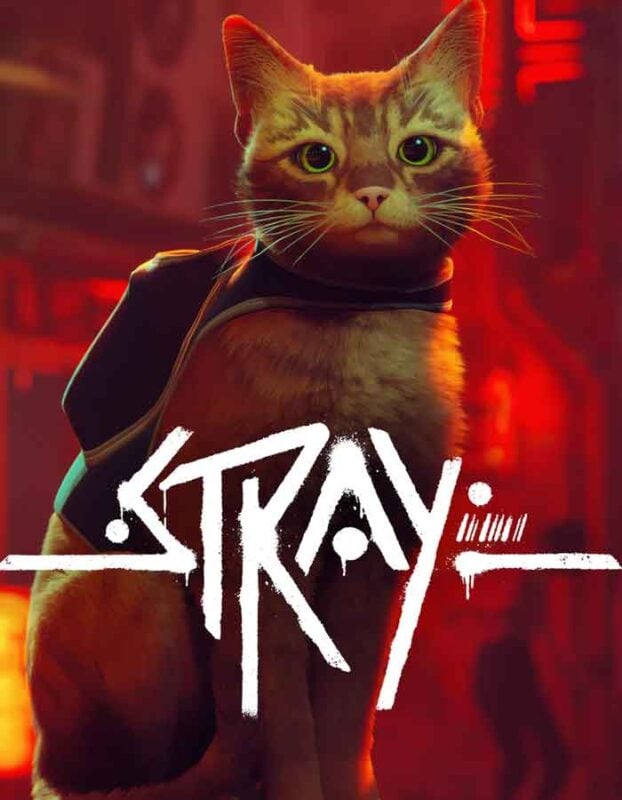 Stray