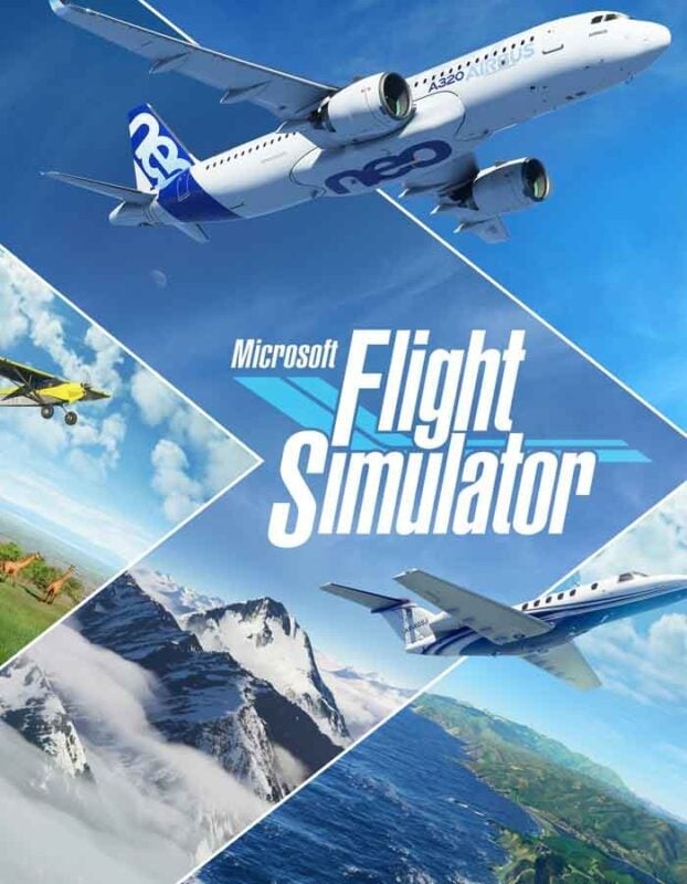 Microsoft Flight Simulator: Standart